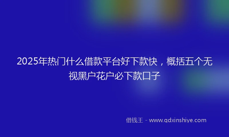 2025年热门什么借款平台好下款快，概括五个无视黑户花户必下款口子