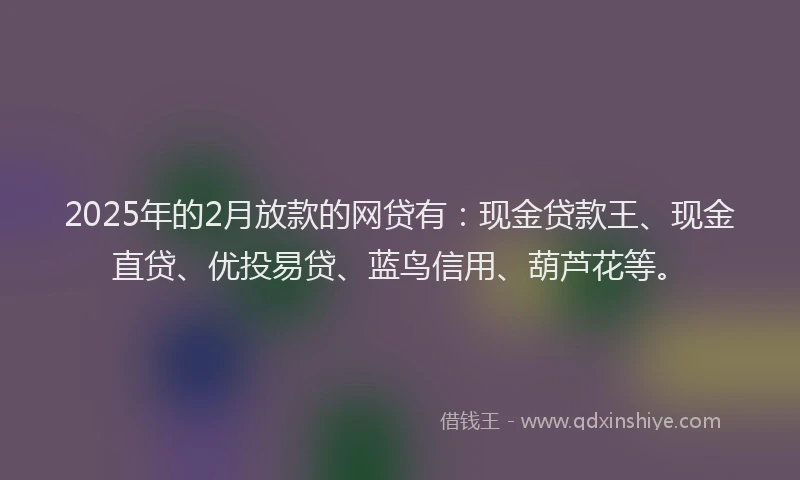 2025年的2月放款的网贷有：现金贷款王、现金直贷、优投易贷、蓝鸟信用、葫芦花等。