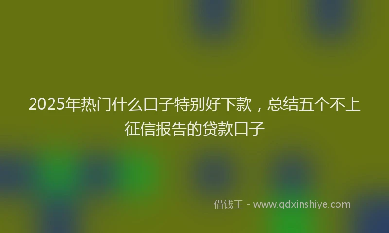 2025年热门什么口子特别好下款，总结五个不上征信报告的贷款口子