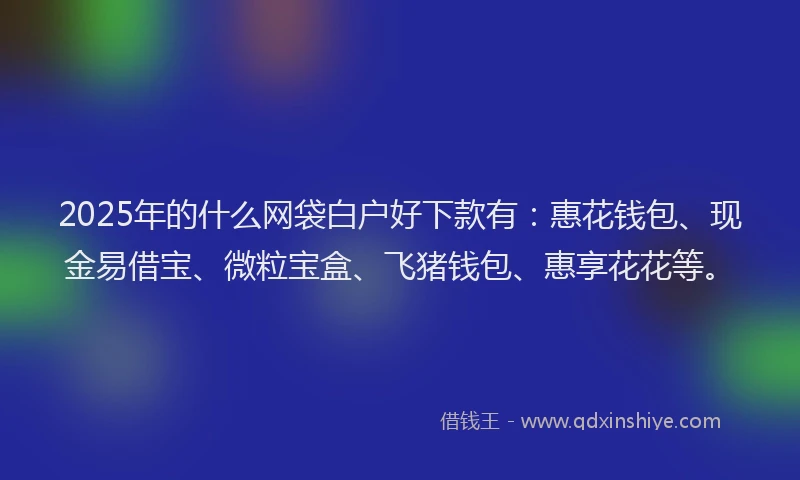 2025年的什么网袋白户好下款有：惠花钱包、现金易借宝、微粒宝盒、飞猪钱包、惠享花花等。