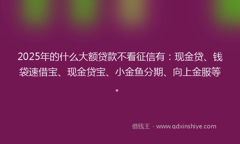 2025年的什么大额贷款不看征信有：现金贷、钱袋速借宝、现金贷宝、小金鱼分期、向上金服等。