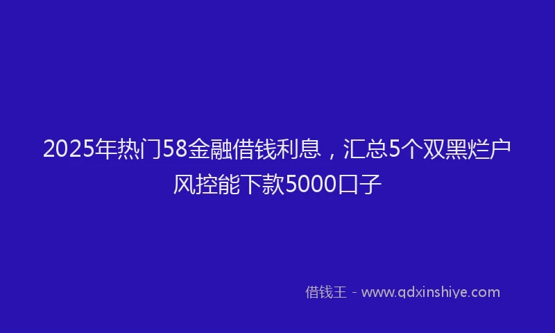 2025年热门58金融借钱利息，汇总5个双黑烂户风控能下款5000口子