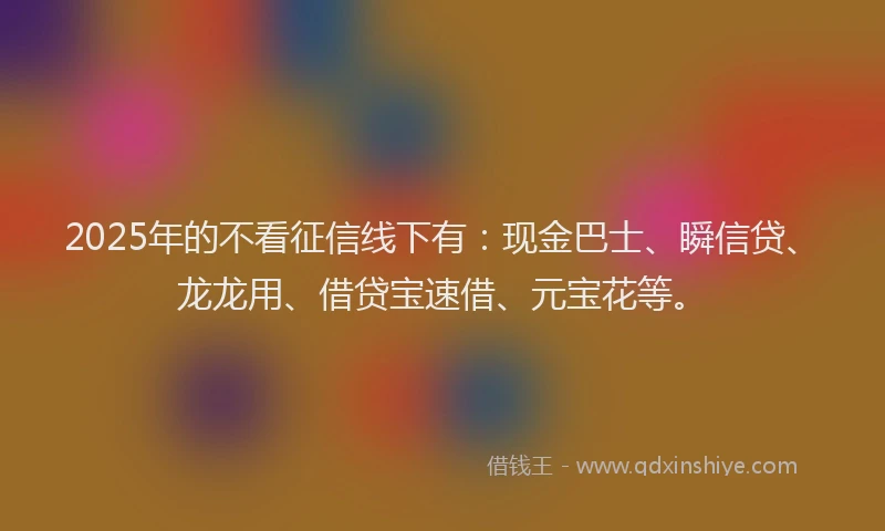 2025年的不看征信线下有：现金巴士、瞬信贷、龙龙用、借贷宝速借、元宝花等。