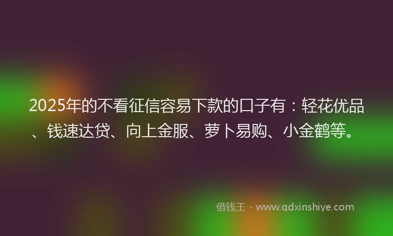 2025年的不看征信容易下款的口子有：轻花优品、钱速达贷、向上金服、萝卜易购、小金鹤等。