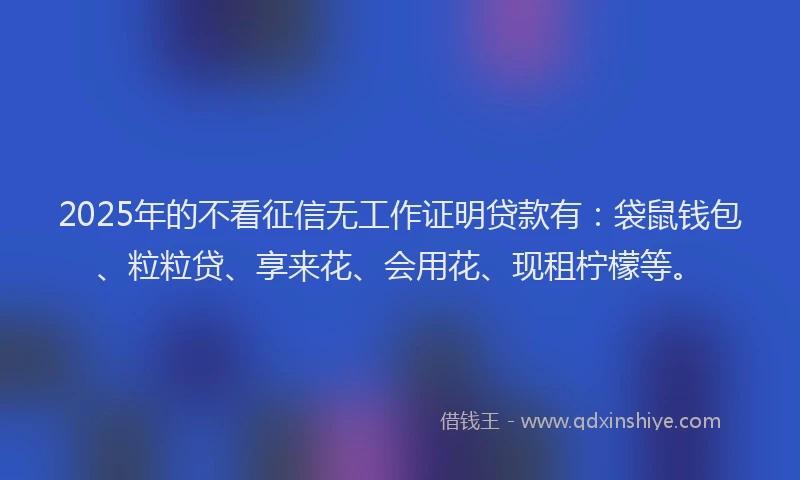 2025年的不看征信无工作证明贷款有：袋鼠钱包、粒粒贷、享来花、会用花、现租柠檬等。