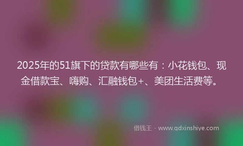 2025年的51旗下的贷款有哪些有：小花钱包、现金借款宝、嗨购、汇融钱包+、美团生活费等。