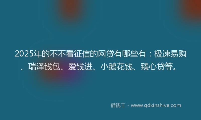 2025年的不不看征信的网贷有哪些有：极速易购、瑞泽钱包、爱钱进、小鹅花钱、臻心贷等。
