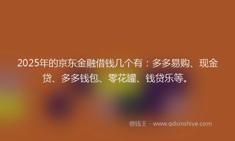 2025年的京东金融借钱几个有：多多易购、现金贷、多多钱包、零花罐、钱贷乐等。