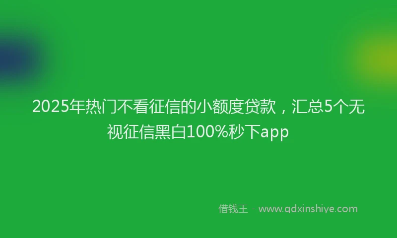 2025年热门不看征信的小额度贷款，汇总5个无视征信黑白100%秒下app