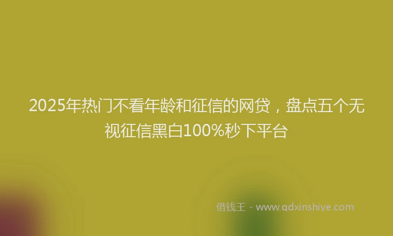 2025年热门不看年龄和征信的网贷，盘点五个无视征信黑白100%秒下平台