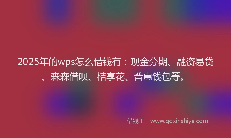 2025年的wps怎么借钱有：现金分期、融资易贷、森森借呗、桔享花、普惠钱包等。