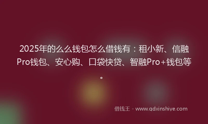 2025年的么么钱包怎么借钱有：租小新、信融Pro钱包、安心购、口袋快贷、智融Pro+钱包等。