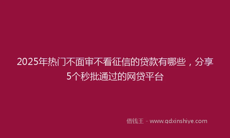 2025年热门不面审不看征信的贷款有哪些，分享5个秒批通过的网贷平台