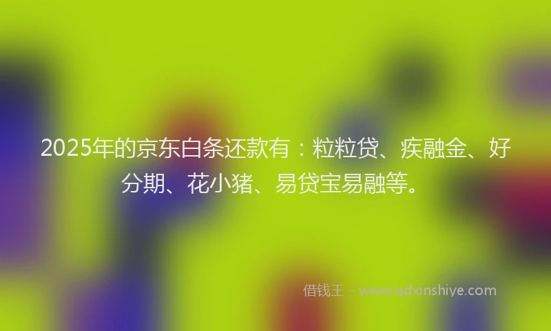 2025年的京东白条还款有：粒粒贷、疾融金、好分期、花小猪、易贷宝易融等。