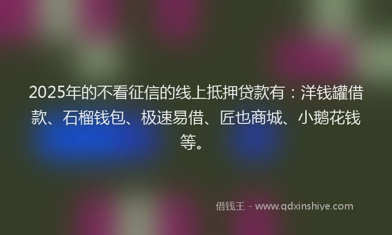2025年的不看征信的线上抵押贷款有：洋钱罐借款、石榴钱包、极速易借、匠也商城、小鹅花钱等。