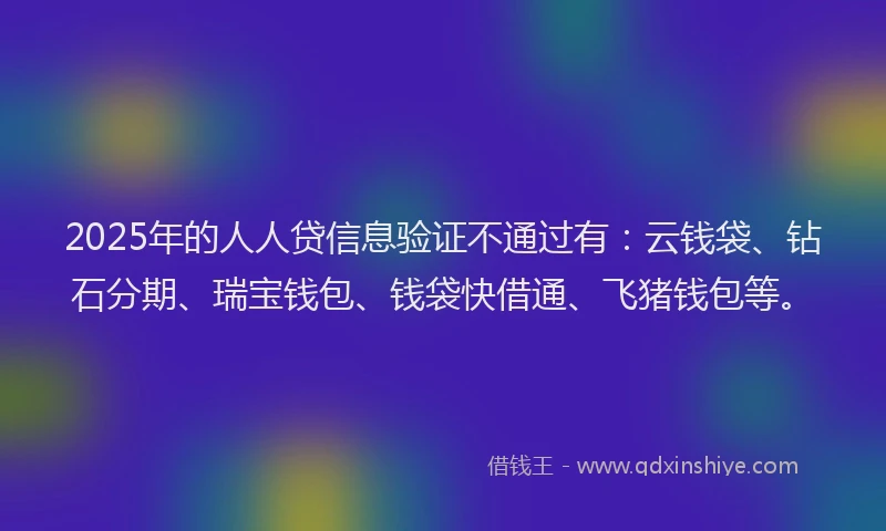 2025年的人人贷信息验证不通过有：云钱袋、钻石分期、瑞宝钱包、钱袋快借通、飞猪钱包等。