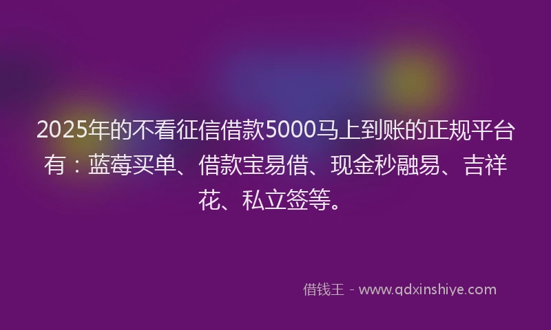 2025年的不看征信借款5000马上到账的正规平台有：蓝莓买单、借款宝易借、现金秒融易、吉祥花、私立签等。