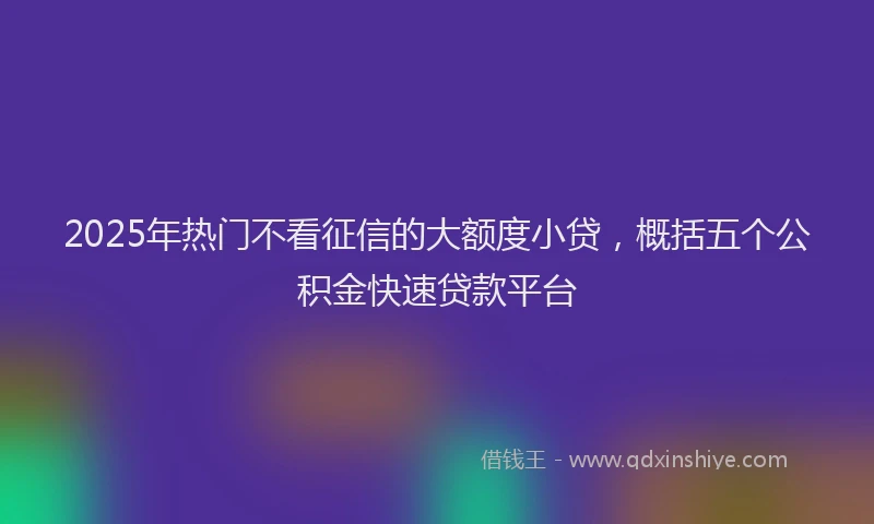 2025年热门不看征信的大额度小贷，概括五个公积金快速贷款平台