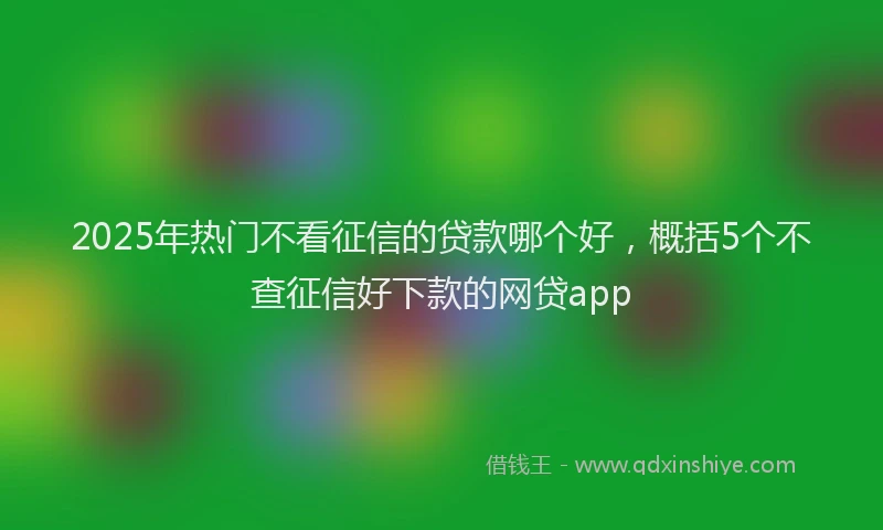 2025年热门不看征信的贷款哪个好，概括5个不查征信好下款的网贷app