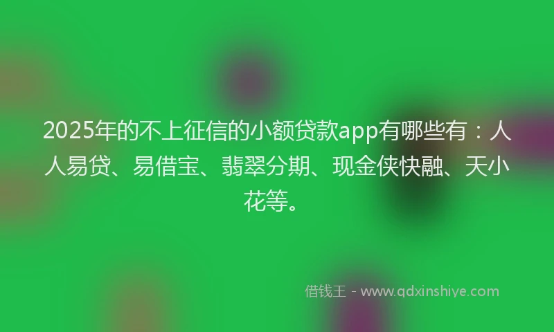 2025年的不上征信的小额贷款app有哪些有：人人易贷、易借宝、翡翠分期、现金侠快融、天小花等。