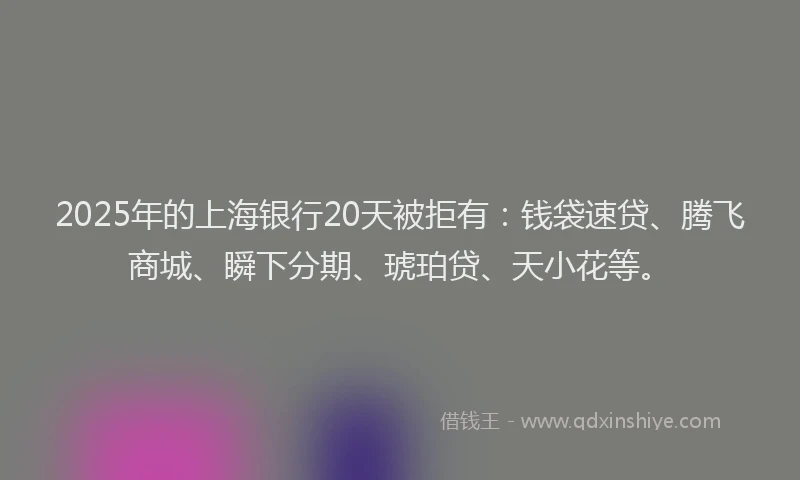 2025年的上海银行20天被拒有：钱袋速贷、腾飞商城、瞬下分期、琥珀贷、天小花等。