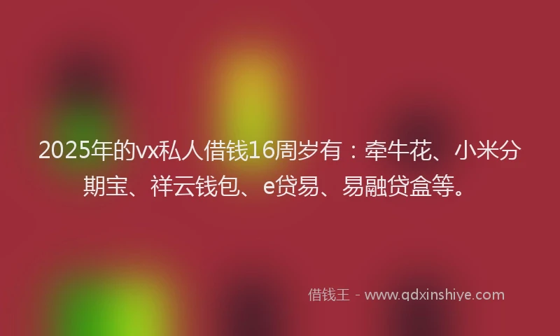 2025年的vx私人借钱16周岁有：牵牛花、小米分期宝、祥云钱包、e贷易、易融贷盒等。