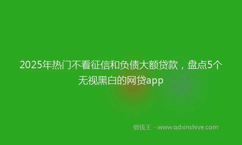 2025年热门不看征信和负债大额贷款，盘点5个无视黑白的网贷app