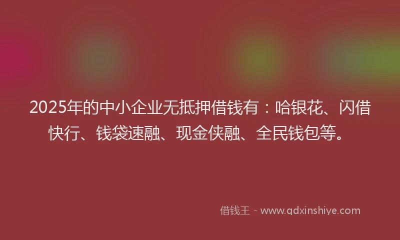 2025年的中小企业无抵押借钱有：哈银花、闪借快行、钱袋速融、现金侠融、全民钱包等。