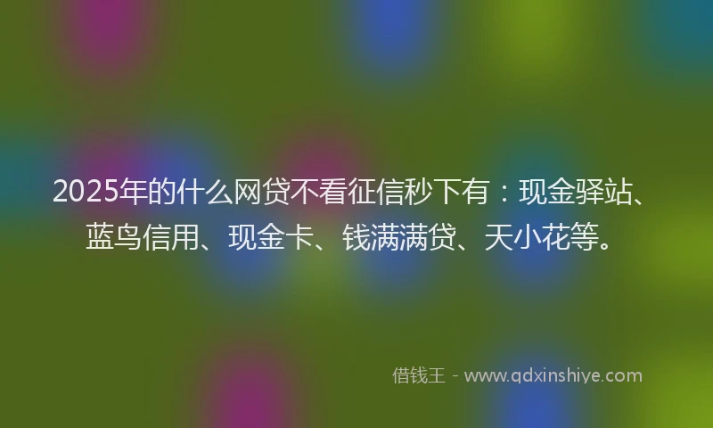2025年的什么网贷不看征信秒下有：现金驿站、蓝鸟信用、现金卡、钱满满贷、天小花等。