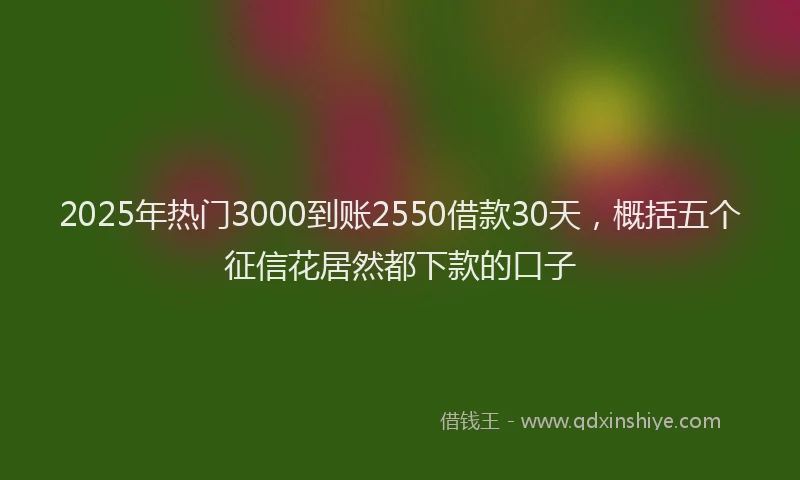 2025年热门3000到账2550借款30天，概括五个征信花居然都下款的口子