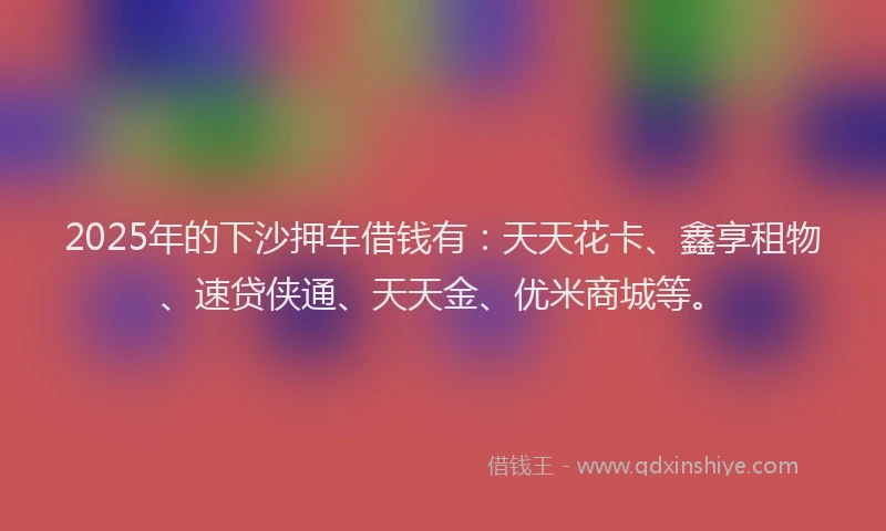 2025年的下沙押车借钱有：天天花卡、鑫享租物、速贷侠通、天天金、优米商城等。