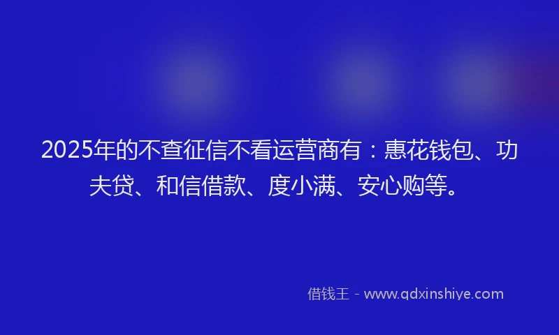 2025年的不查征信不看运营商有：惠花钱包、功夫贷、和信借款、度小满、安心购等。