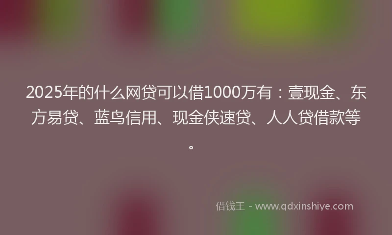 2025年的什么网贷可以借1000万有：壹现金、东方易贷、蓝鸟信用、现金侠速贷、人人贷借款等。
