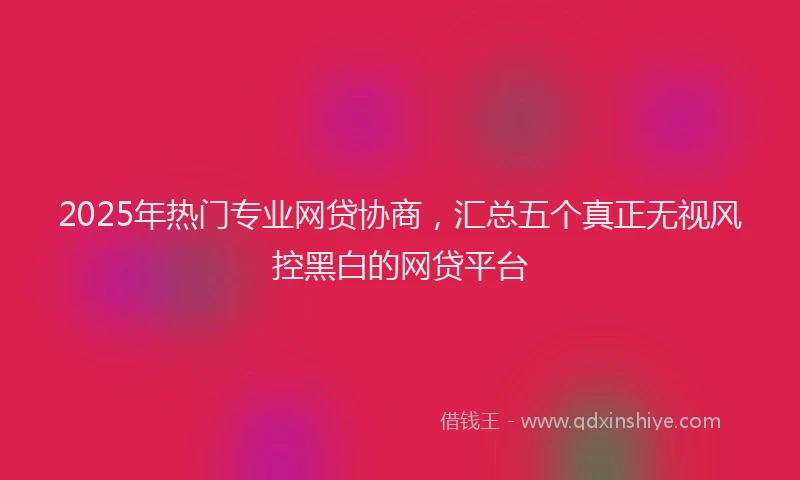 2025年热门专业网贷协商，汇总五个真正无视风控黑白的网贷平台