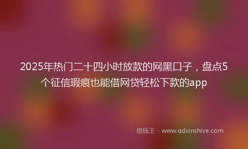 2025年热门二十四小时放款的网黑口子，盘点5个征信瑕疵也能借网贷轻松下款的app