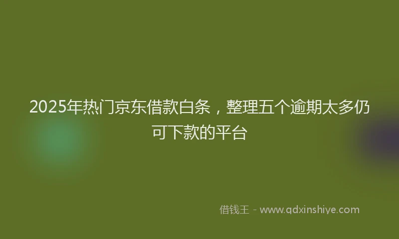 2025年热门京东借款白条，整理五个逾期太多仍可下款的平台