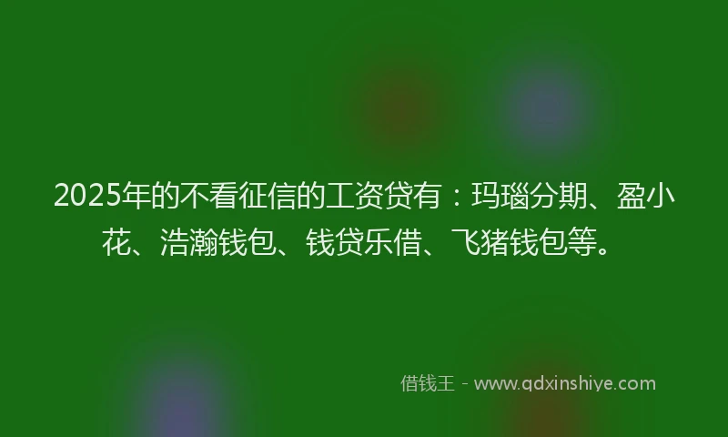 2025年的不看征信的工资贷有：玛瑙分期、盈小花、浩瀚钱包、钱贷乐借、飞猪钱包等。