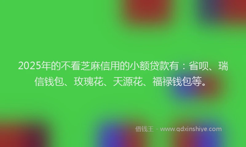 2025年的不看芝麻信用的小额贷款有：省呗、瑞信钱包、玫瑰花、天源花、福禄钱包等。