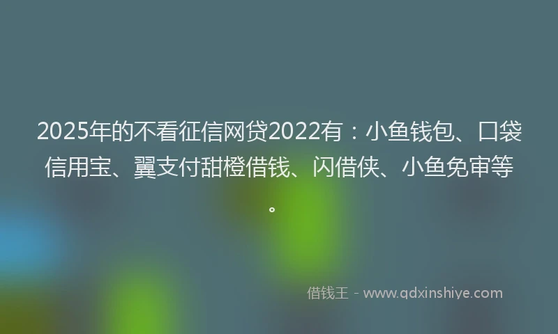 2025年的不看征信网贷2022有：小鱼钱包、口袋信用宝、翼支付甜橙借钱、闪借侠、小鱼免审等。
