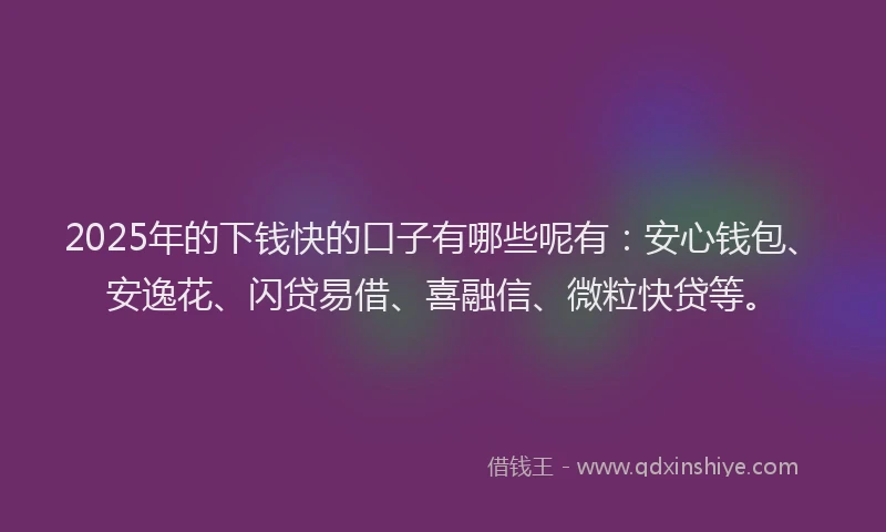 2025年的下钱快的口子有哪些呢有：安心钱包、安逸花、闪贷易借、喜融信、微粒快贷等。