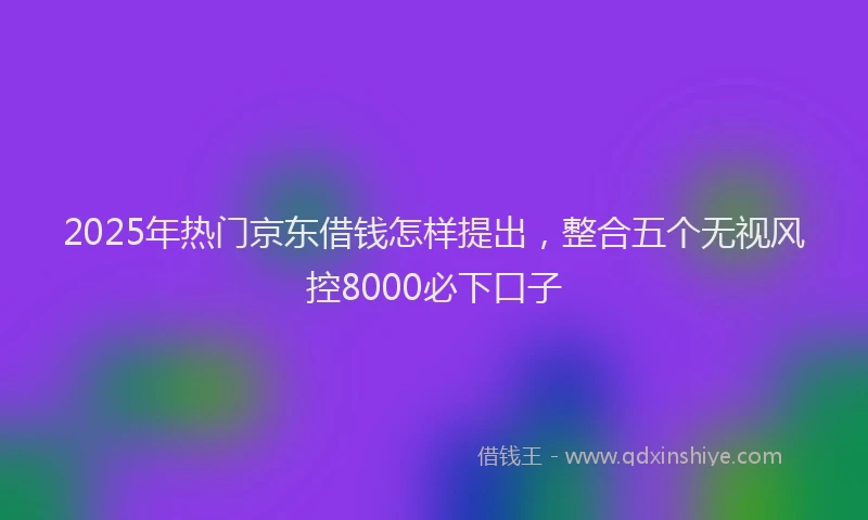 2025年热门京东借钱怎样提出，整合五个无视风控8000必下口子