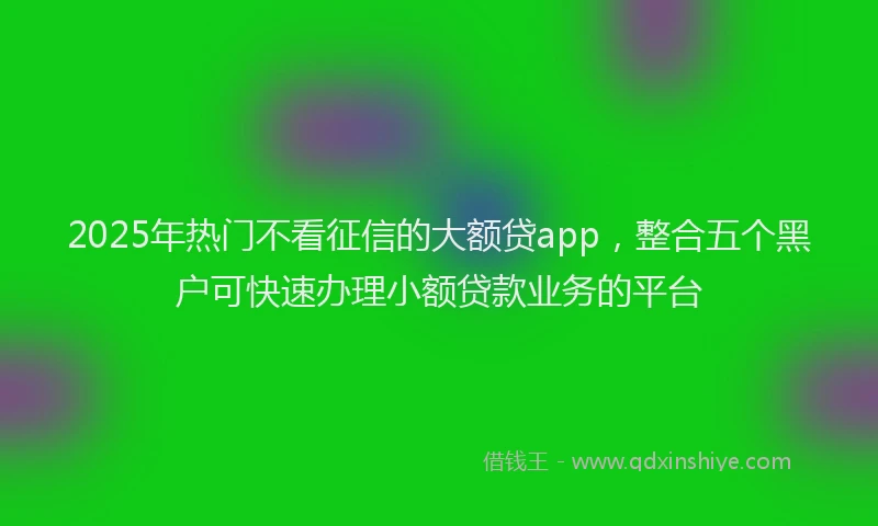 2025年热门不看征信的大额贷app，整合五个黑户可快速办理小额贷款业务的平台