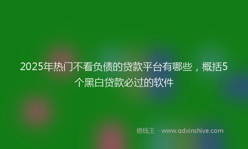 2025年热门不看负债的贷款平台有哪些，概括5个黑白贷款必过的软件