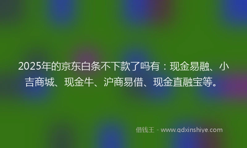 2025年的京东白条不下款了吗有：现金易融、小吉商城、现金牛、沪商易借、现金直融宝等。