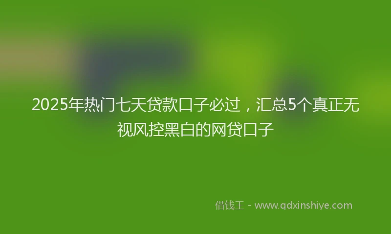 2025年热门七天贷款口子必过，汇总5个真正无视风控黑白的网贷口子