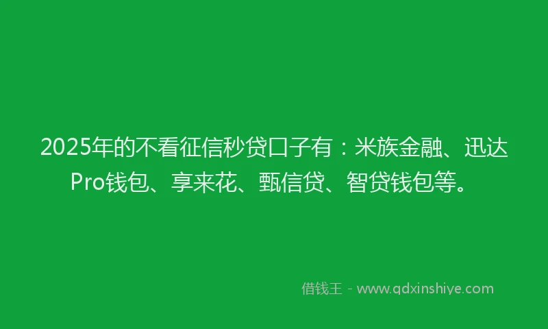 2025年的不看征信秒贷口子有：米族金融、迅达Pro钱包、享来花、甄信贷、智贷钱包等。