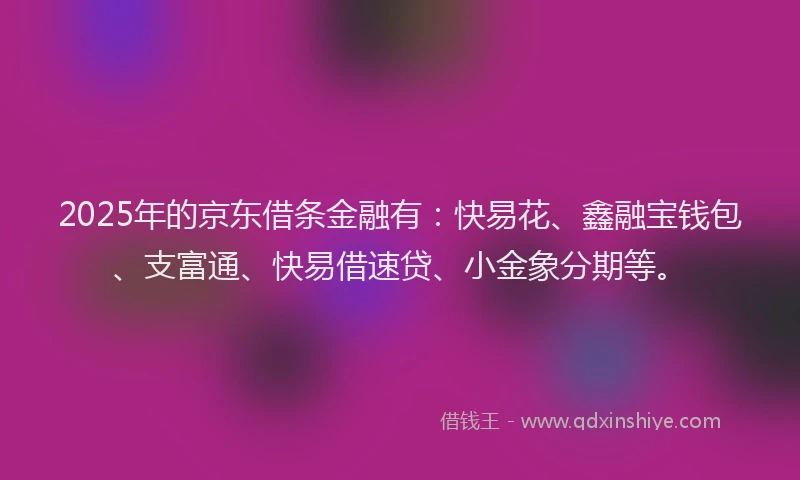 2025年的京东借条金融有：快易花、鑫融宝钱包、支富通、快易借速贷、小金象分期等。