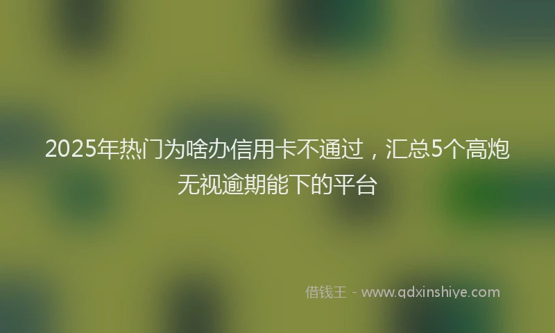 2025年热门为啥办信用卡不通过，汇总5个高炮无视逾期能下的平台