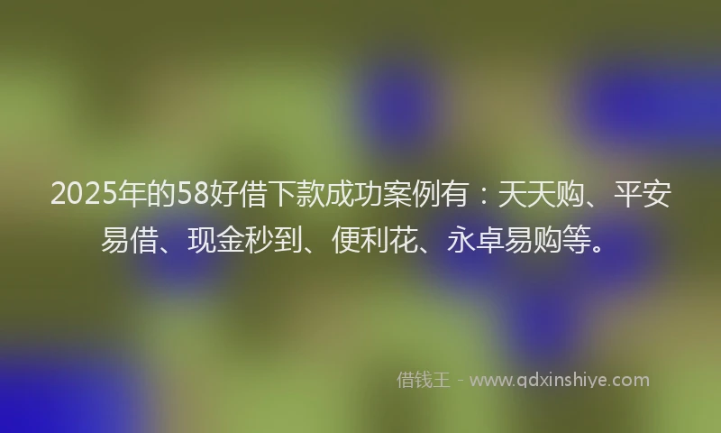 2025年的58好借下款成功案例有：天天购、平安易借、现金秒到、便利花、永卓易购等。