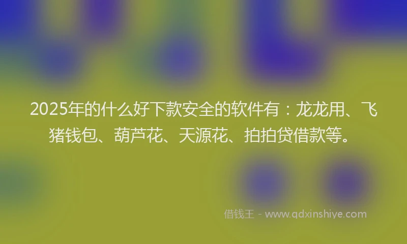 2025年的什么好下款安全的软件有：龙龙用、飞猪钱包、葫芦花、天源花、拍拍贷借款等。
